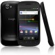 nexus