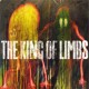 king-of-limbs
