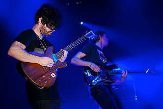 foals-live